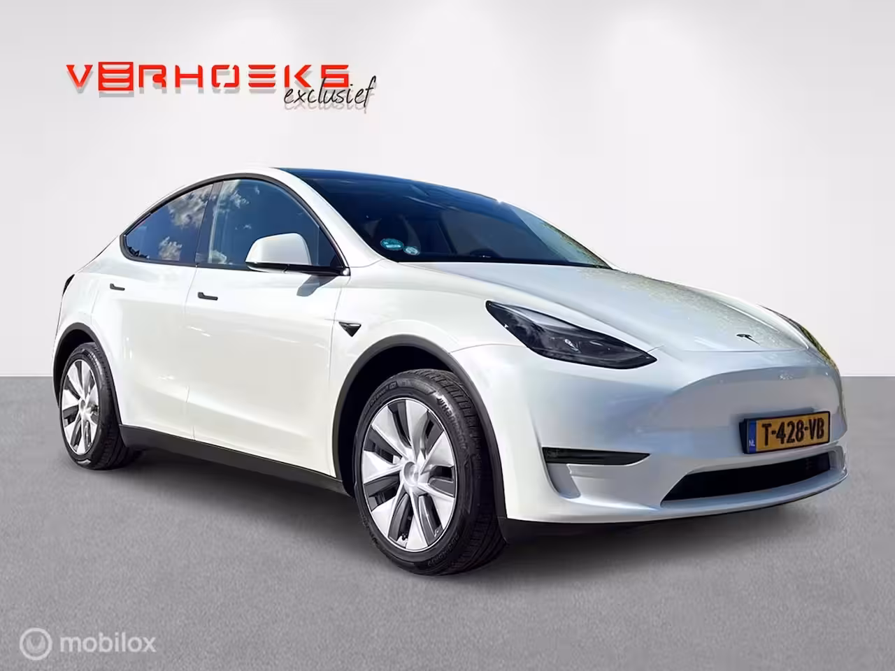 Tesla Model Y Long Range Dual Motor / Trekhaak / BTW