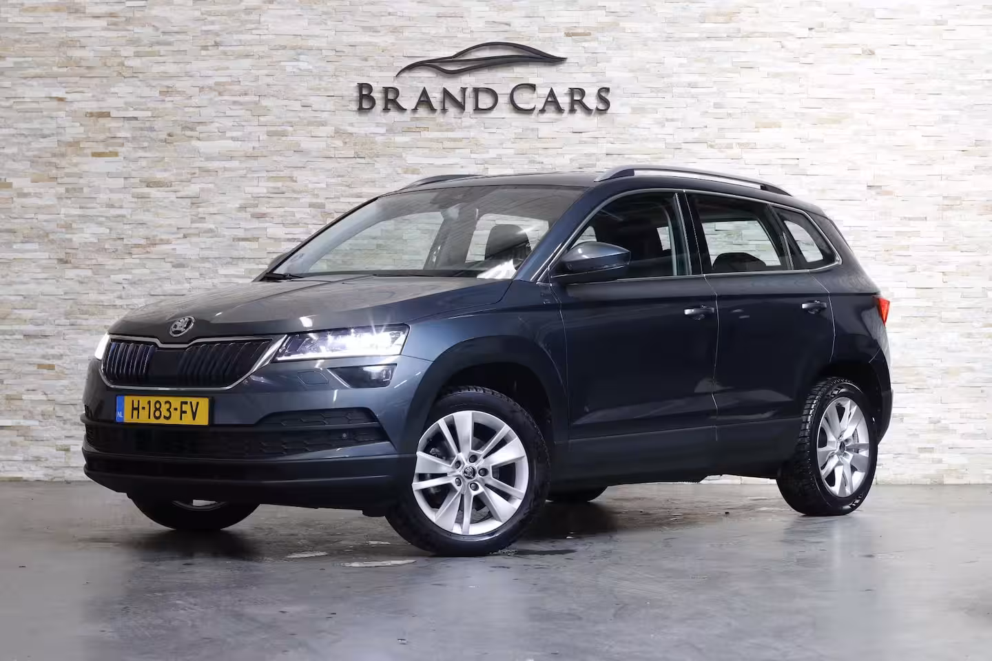 Skoda Karoq 1.0 TSI Business Edition | Camera | Stoelverw. | Navi | Dealer OH | NL AUTO |