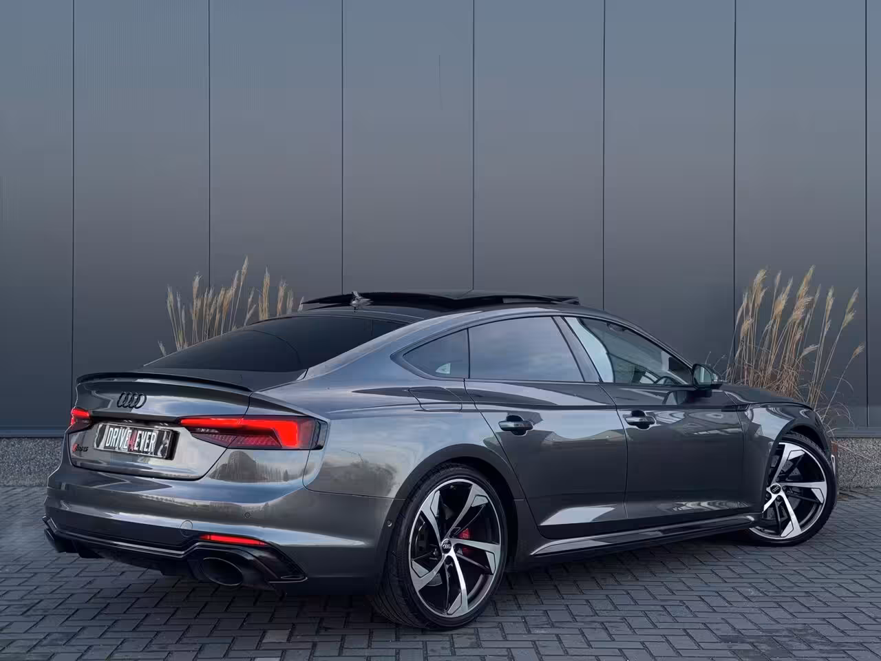 Audi RS5 Sportback 2.9 TFSI RS 5 quattro FULL PANO|LEDER|CLIMATE|ELEK PAKKET