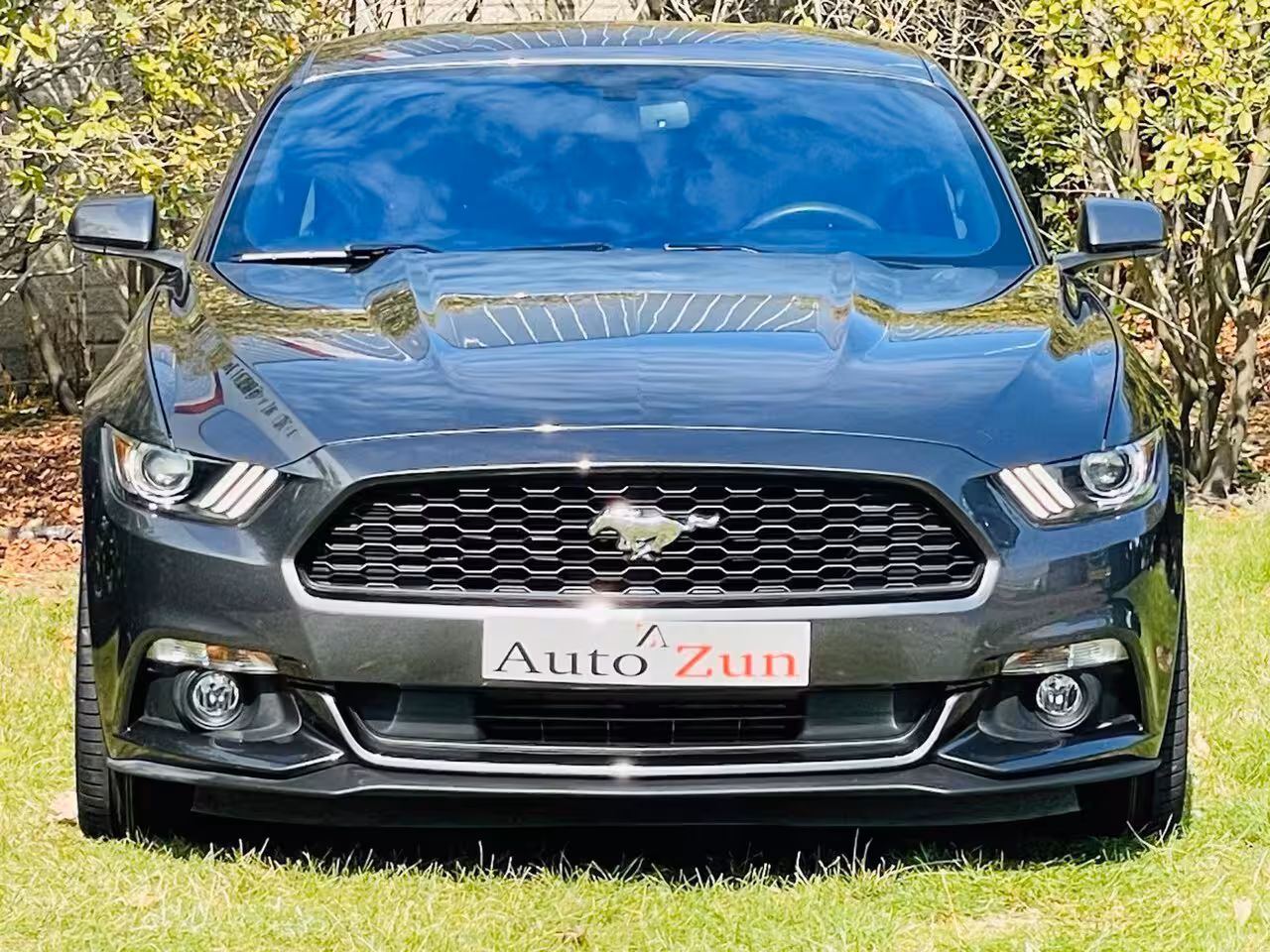 Ford Mustang Fastback 2.3 EcoBoost Premium/Navi/Leer/Automaat