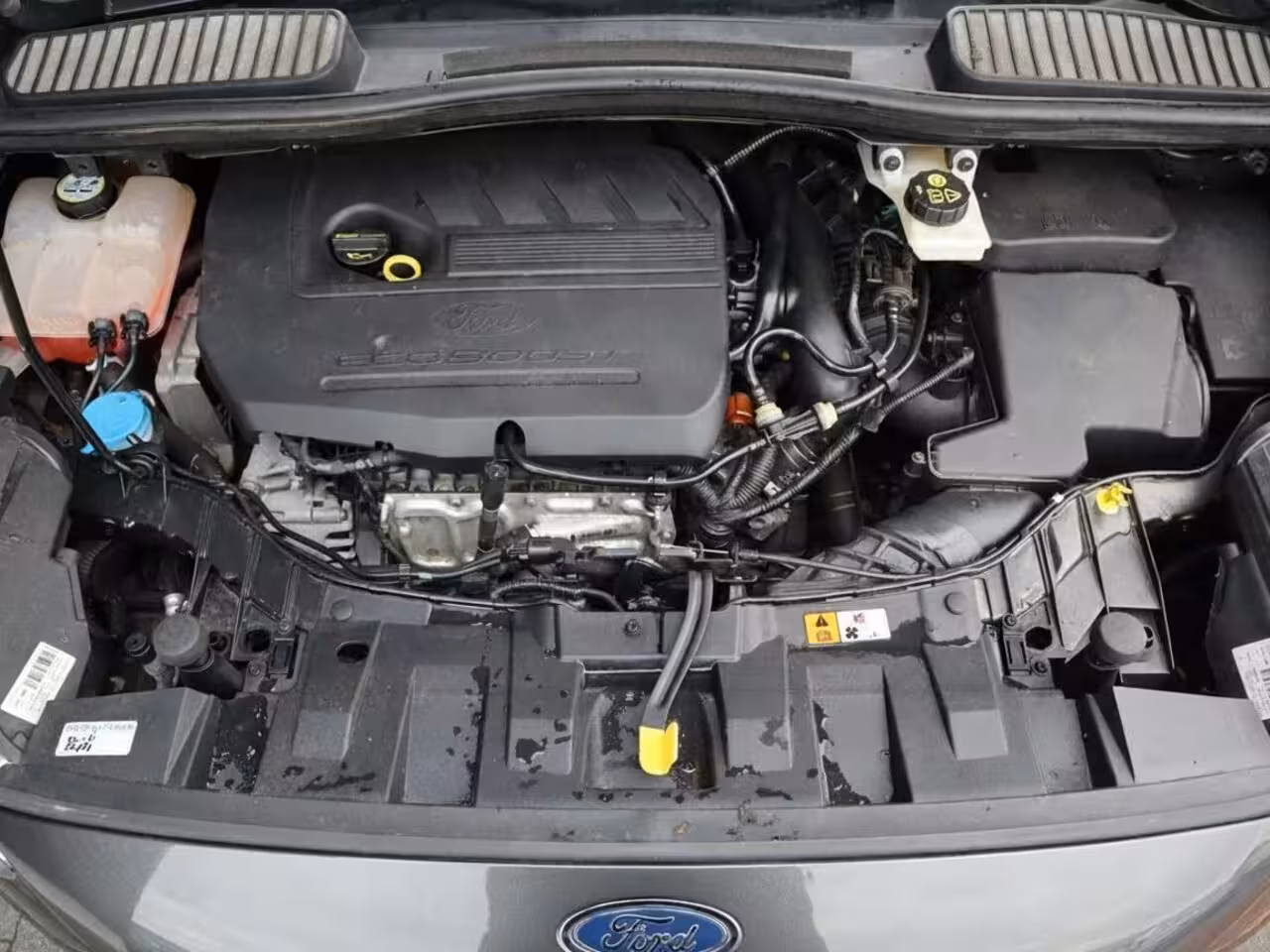 Ford C-Max 1.5 EcoBoost | Dealer ond. | Clima | Cruise | Multimedia | PDC | Trekhaak |