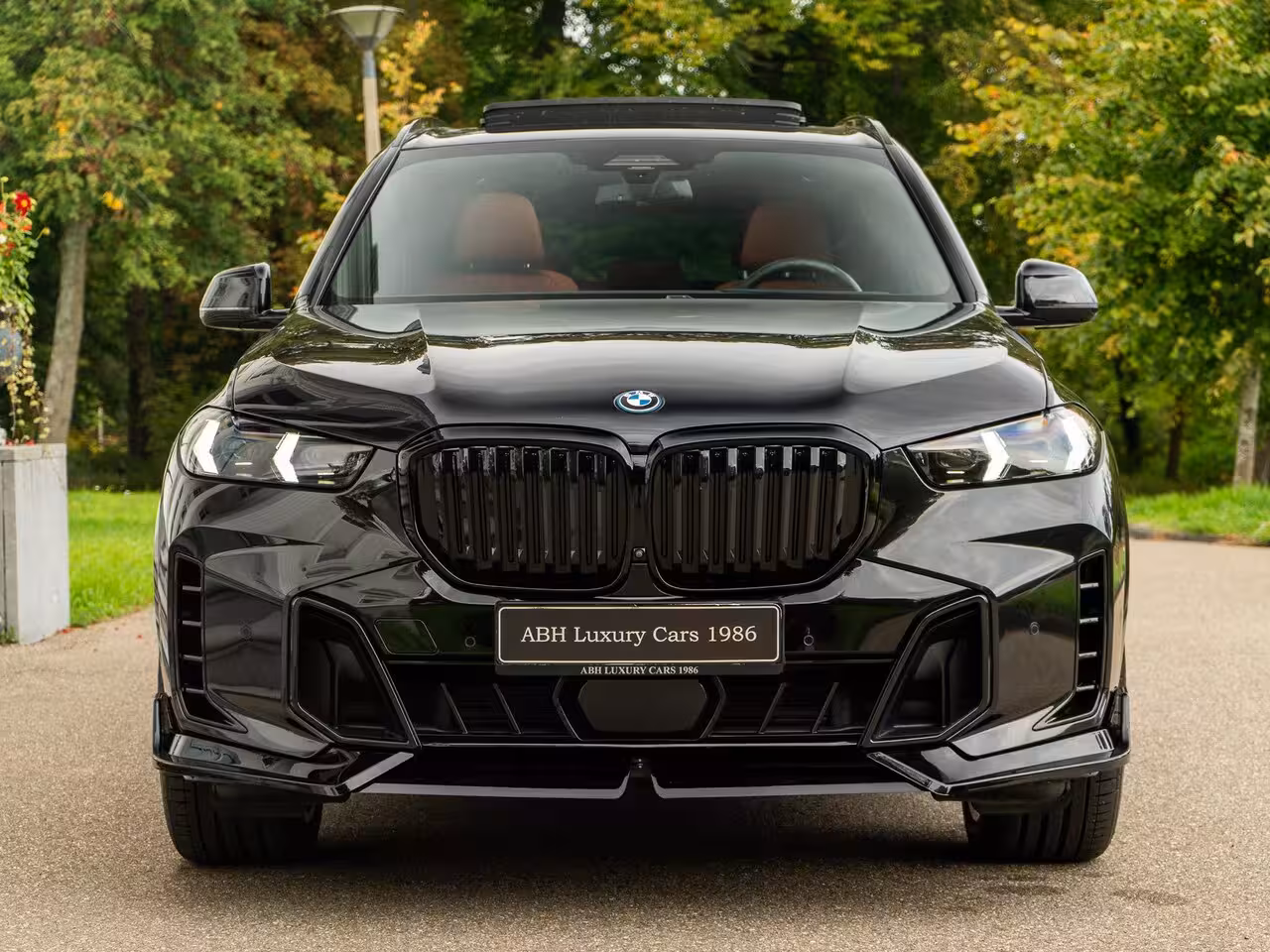 BMW X5 xDrive50e M-Sport | Pano | Head-up| HarmanK | Carbon | Meesturende achteras |
