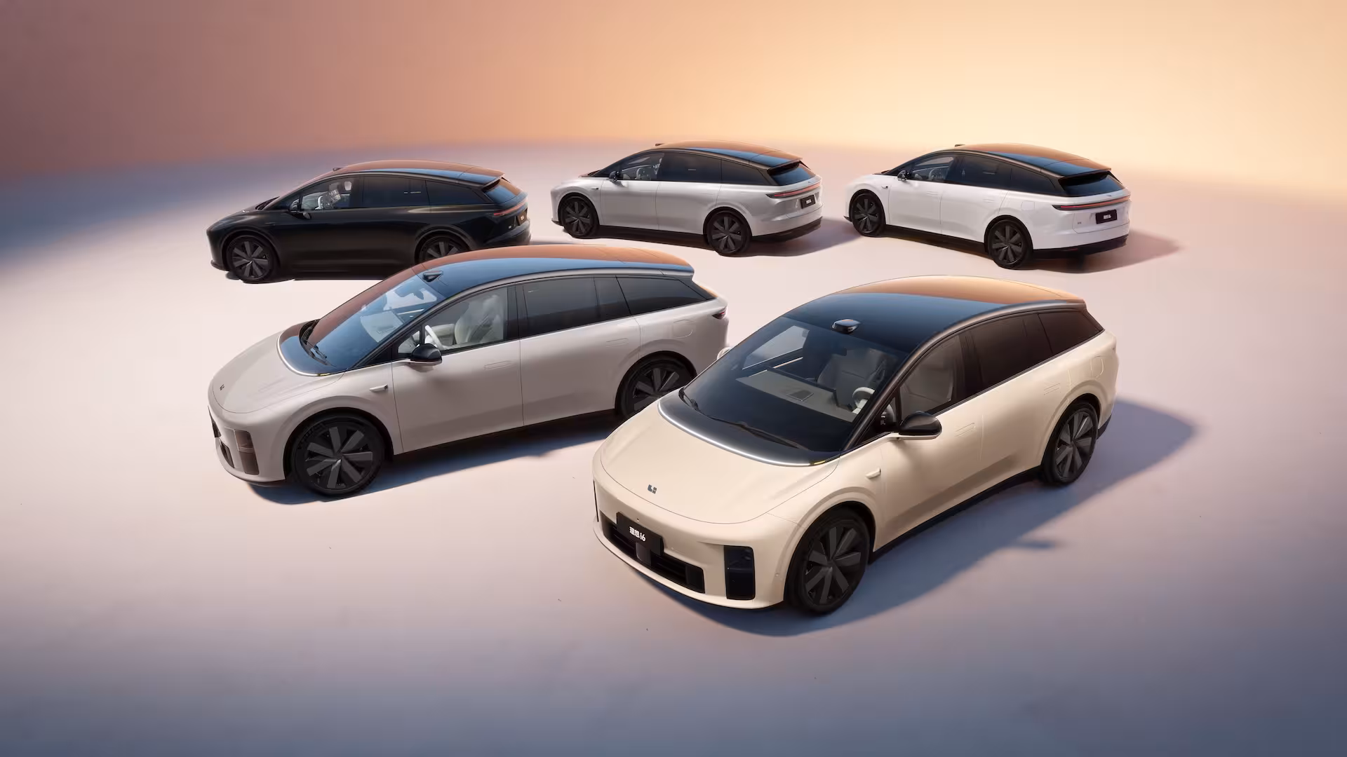 Li Auto Li 6