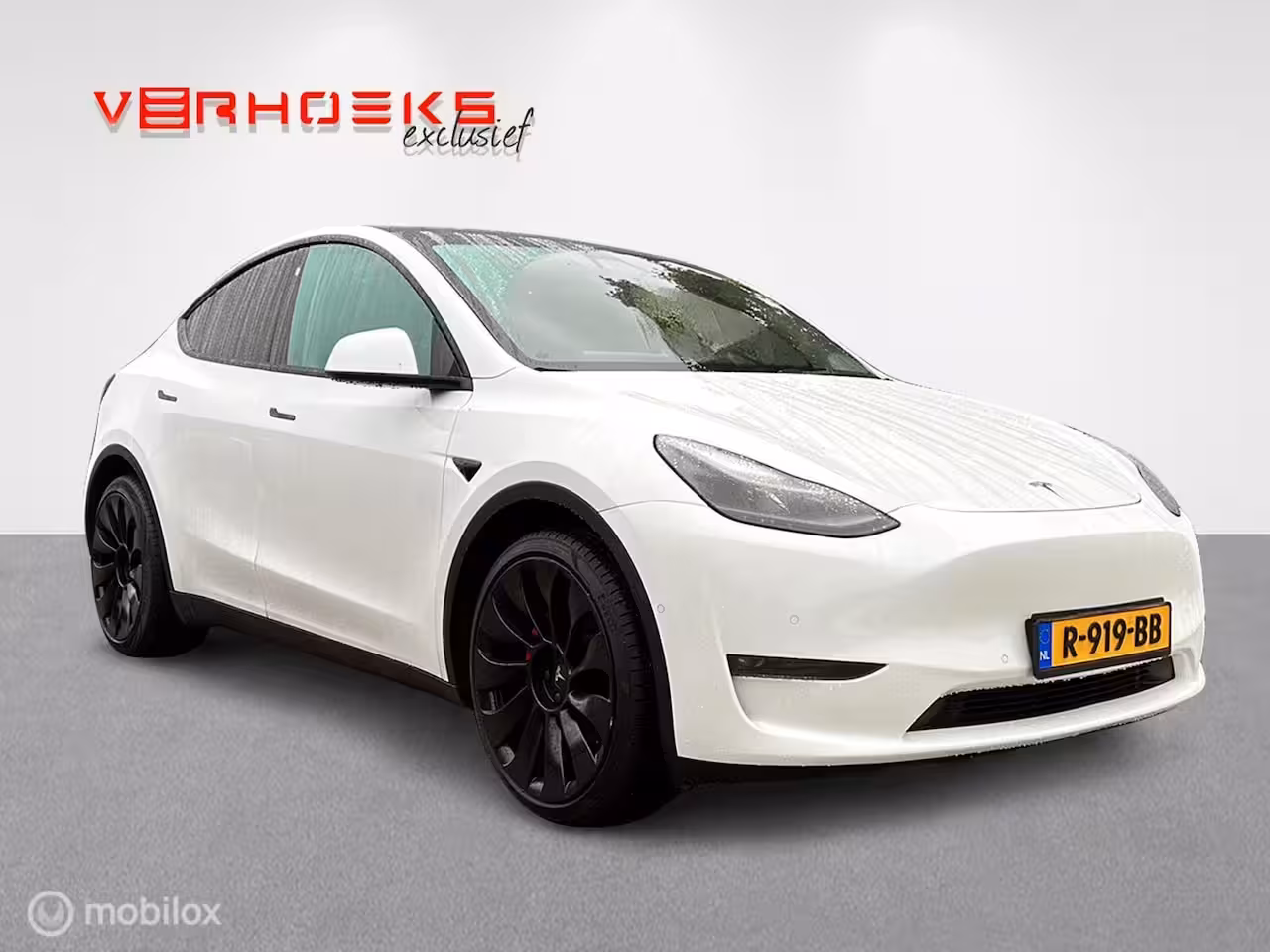 Tesla Model Y Long Range Dual Motor / Trekhaak / 21"