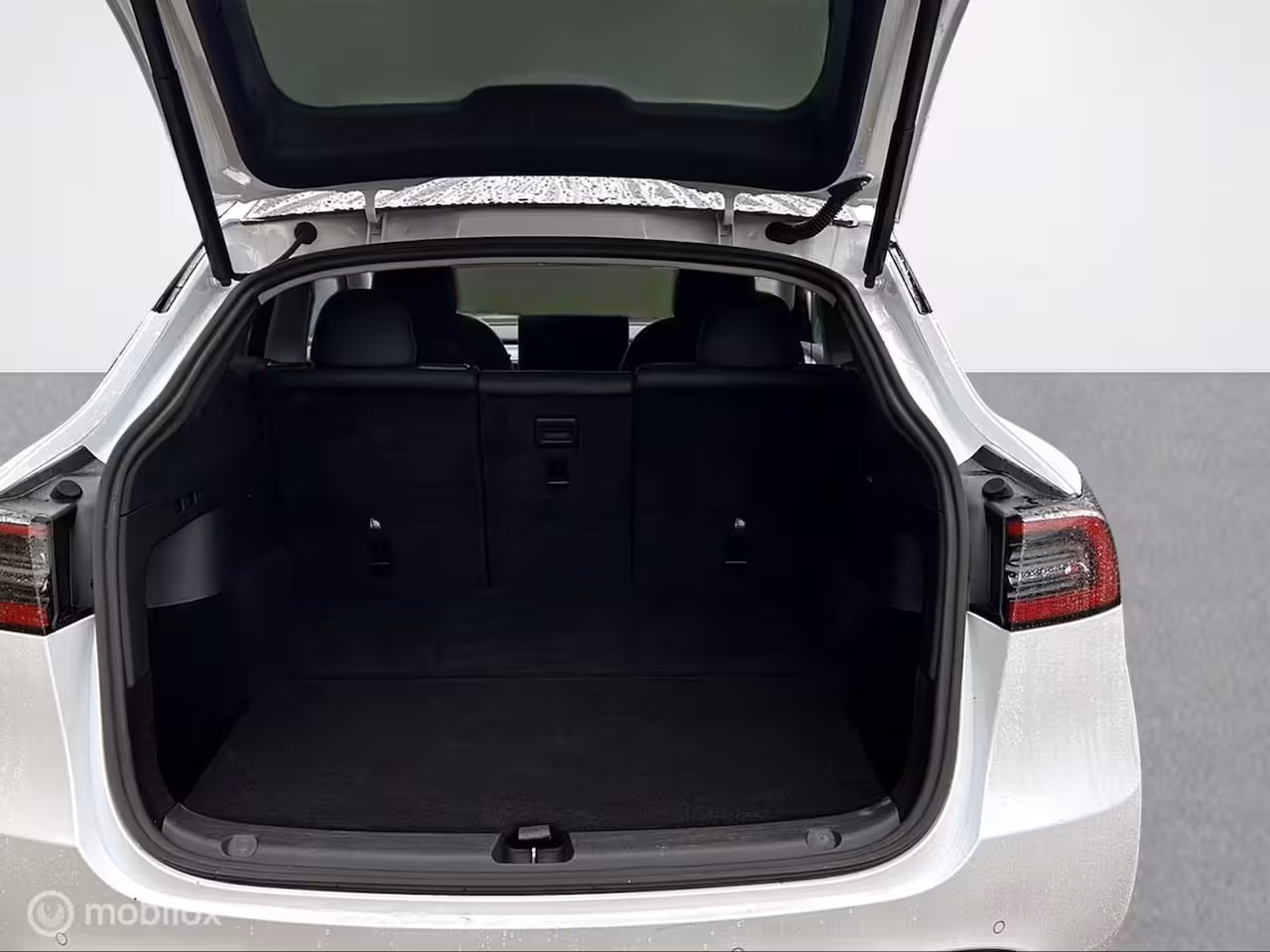 Tesla Model Y Long Range Dual Motor / Trekhaak / 21"