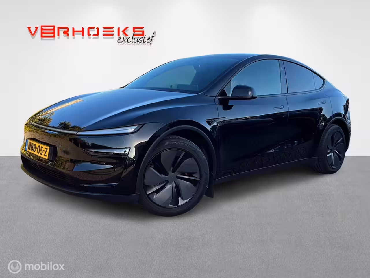 Tesla Model Y Premium Long Range Dual Motor / BTW