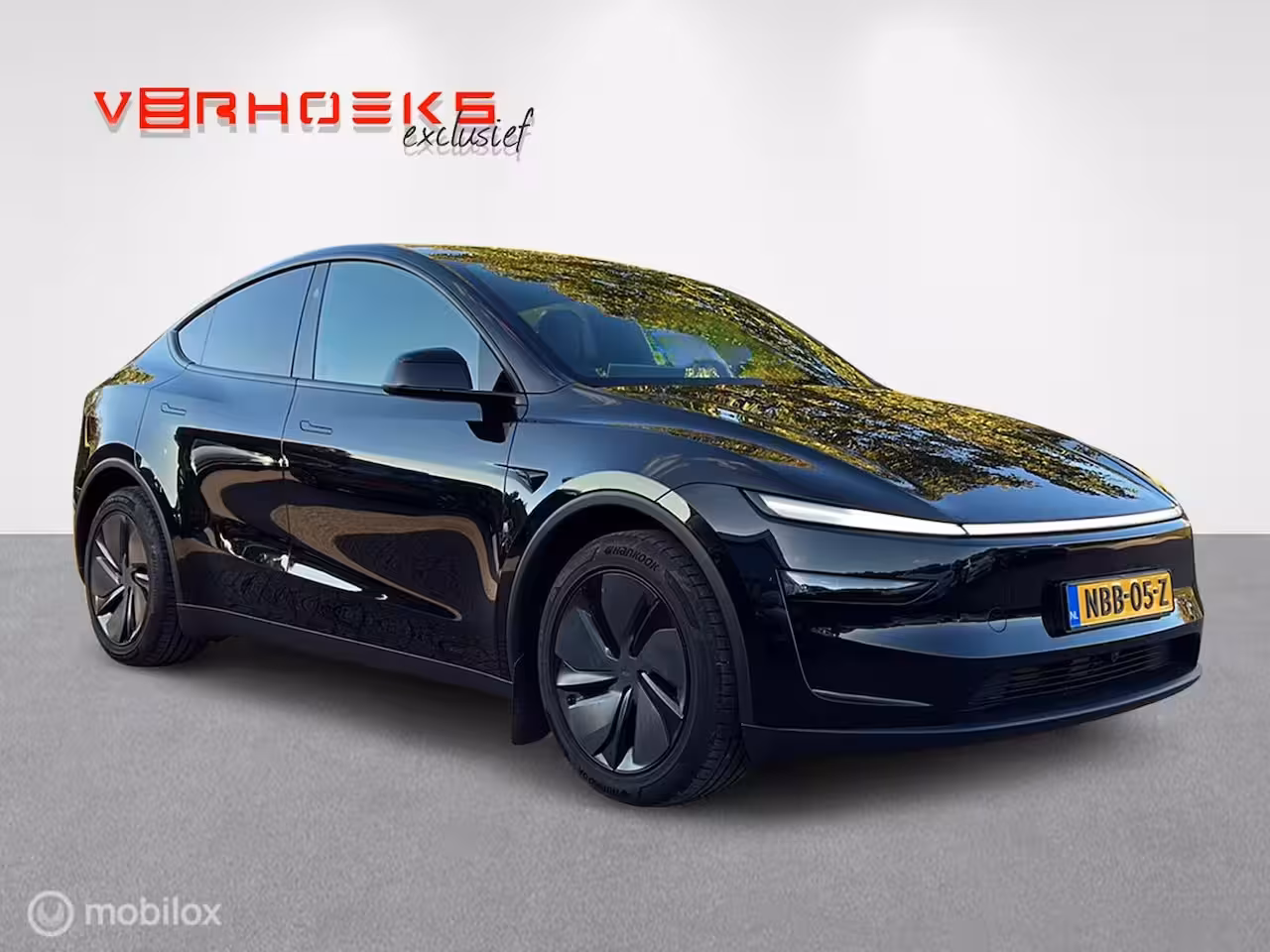 Tesla Model Y Premium Long Range Dual Motor / BTW