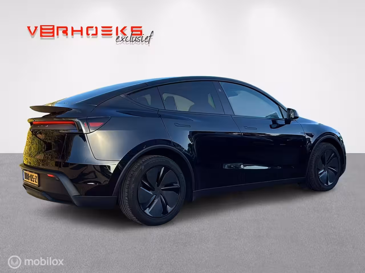 Tesla Model Y Premium Long Range Dual Motor / BTW