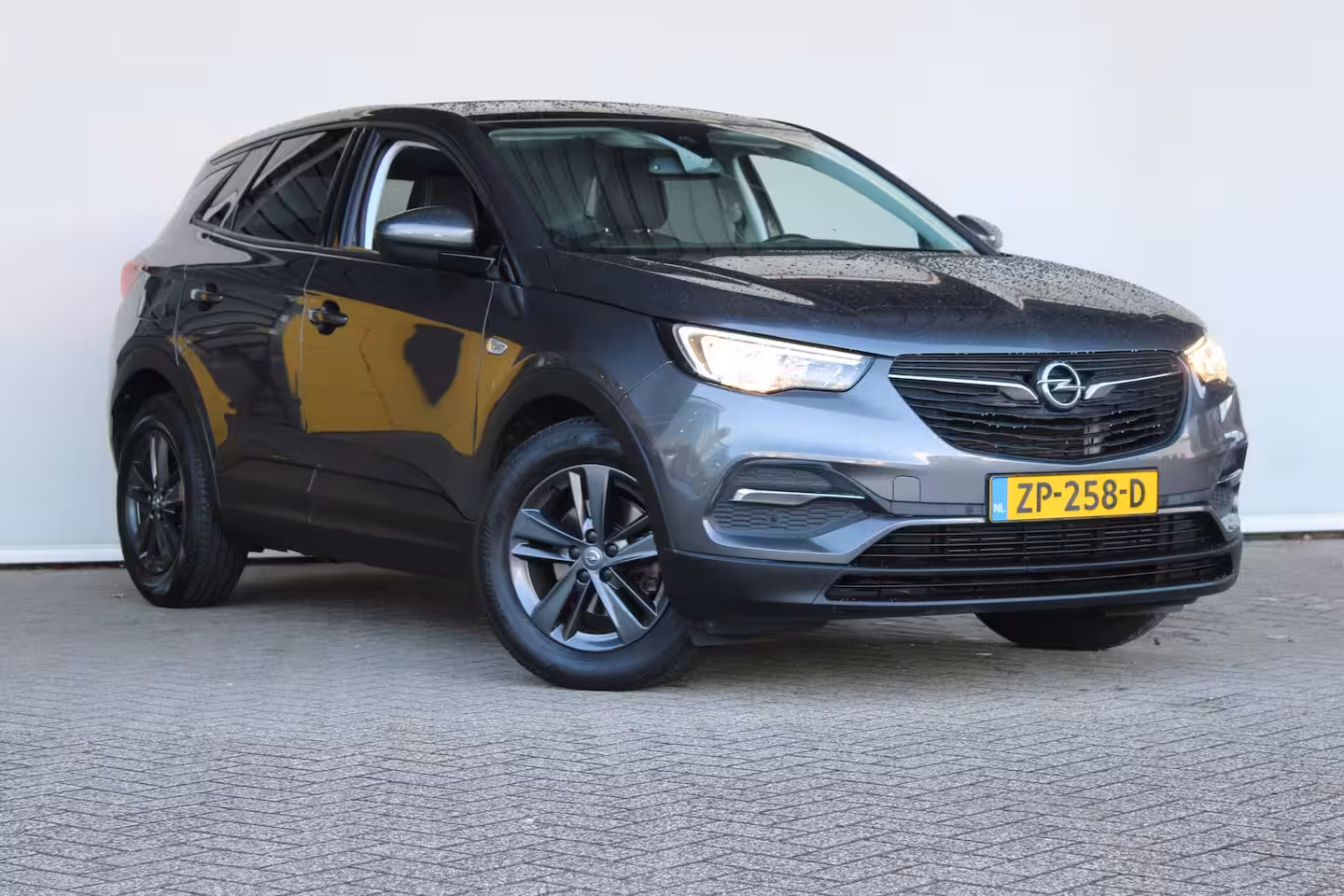 Opel Grandland X 1.2 Turbo 120 Jaar Edition | Panoramadak | Navigatiesysteem | Trekhaak | Climate control |