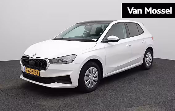 Skoda Fabia 1.0 TSI Ambition | PANORAMADAK | PARKEERSENSOREN ACHTER | CRUISE CONTROL | APPLE CARPLAY