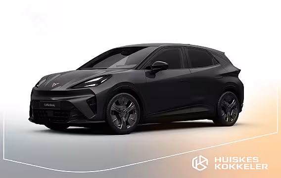Cupra Raval 37kWh batterij 135pk Business