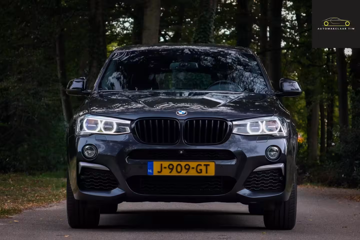 BMW X4 M40i High Executive / Full Options / Pano / Trekhaak