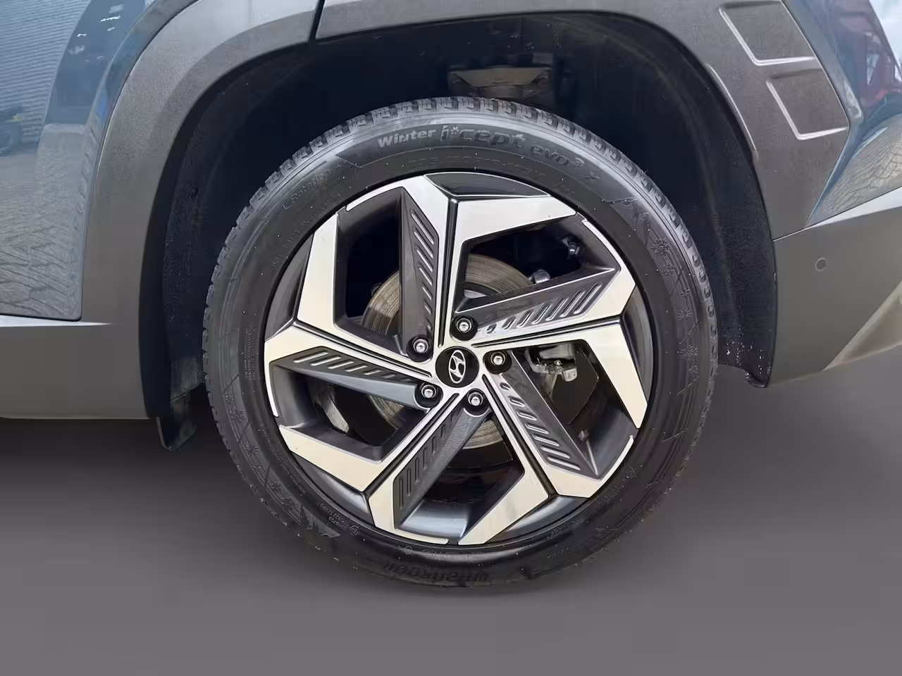 Hyundai Tucson 1.6 T-GDI HEV Premium Sky | + Winterbanden | 1650kg trekgewicht | Navi | 360 Camera | Stoe