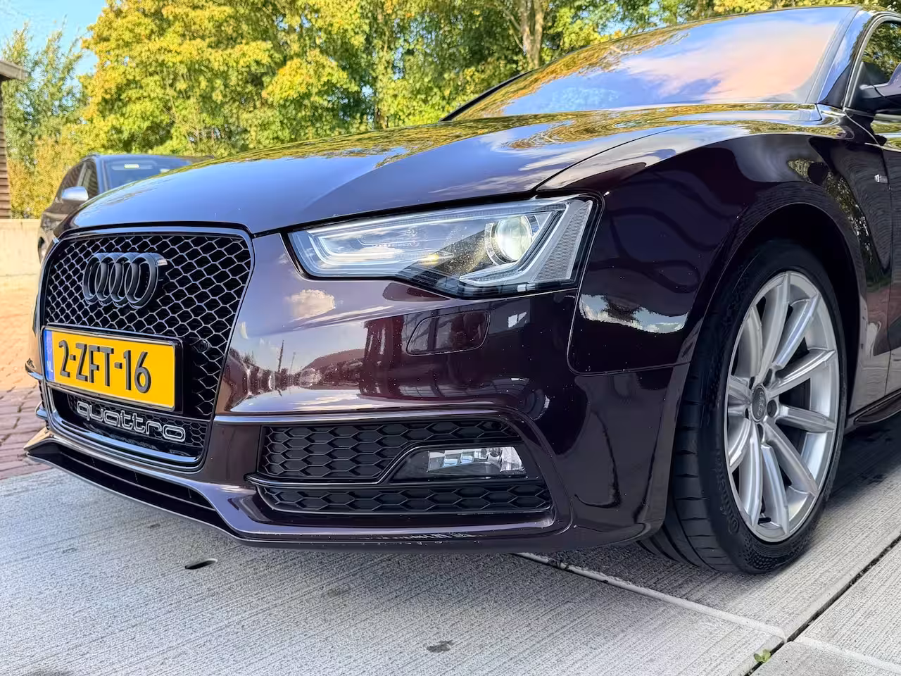 Audi A5 Coupé 2.0 TDI quattro Sport Edition | S-Line | 1/2 Leer | Navi | Xenon |