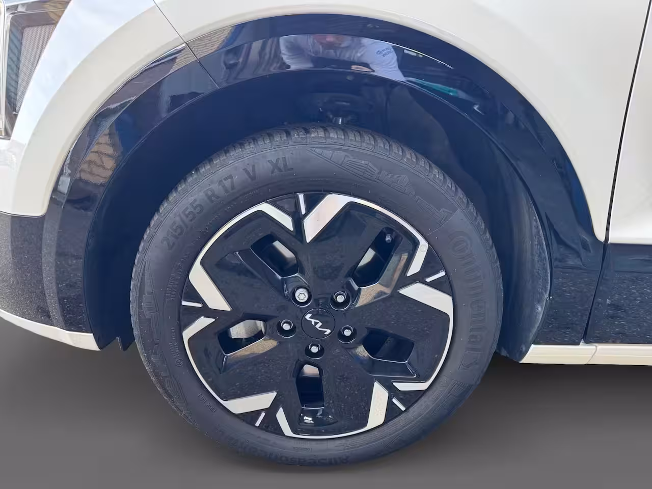 Kia Niro EV DynamicLine 64.8 kWh | Navigatie | LM-Velgen | Climate control | adaptieve cruise control