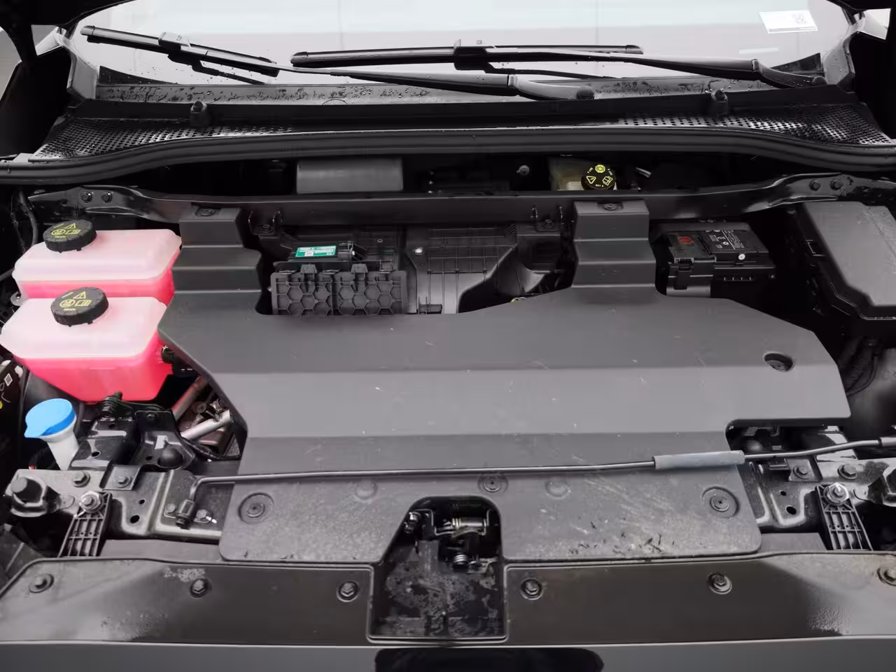 MG MG4 Standard 51 kWh | UNIEKE KM STAND | Adaptive Cruise Control | Carplay | Parkeersensoren |