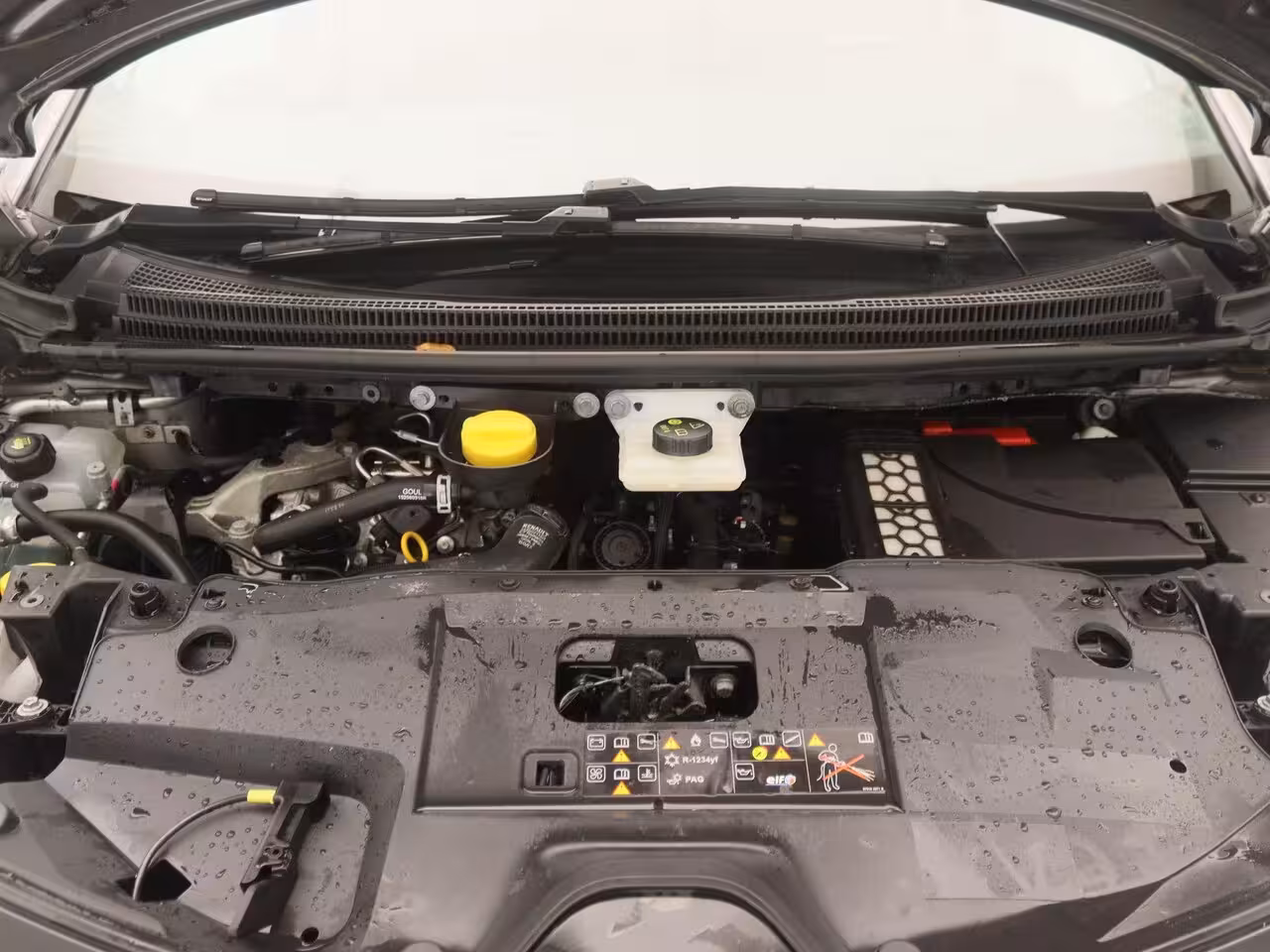 Renault Scénic TCe 140 EDC Automaat Bose | Easy Life Pack met sensoren rondom en achteruitrijcamera | Rui
