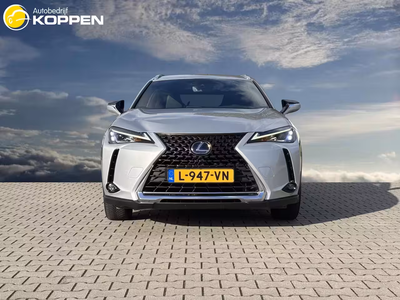 Lexus UX 250h AWD Executive Line | Adaptieve Cruise Control | Verwarmde voorstoelen | Alcantara Bek