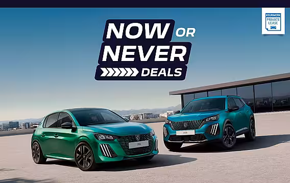 Peugeot Expert Standaard - Elektrisch | 16" stalen velgen | Elektrisch bedienbare en verwarmbare buitensp