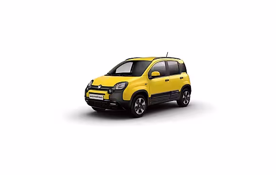 Fiat Pandina Cross | 7" touchscreen radio met Bluetooth, DAB, USB & Apple Carplay & Android AutoTM | Ai