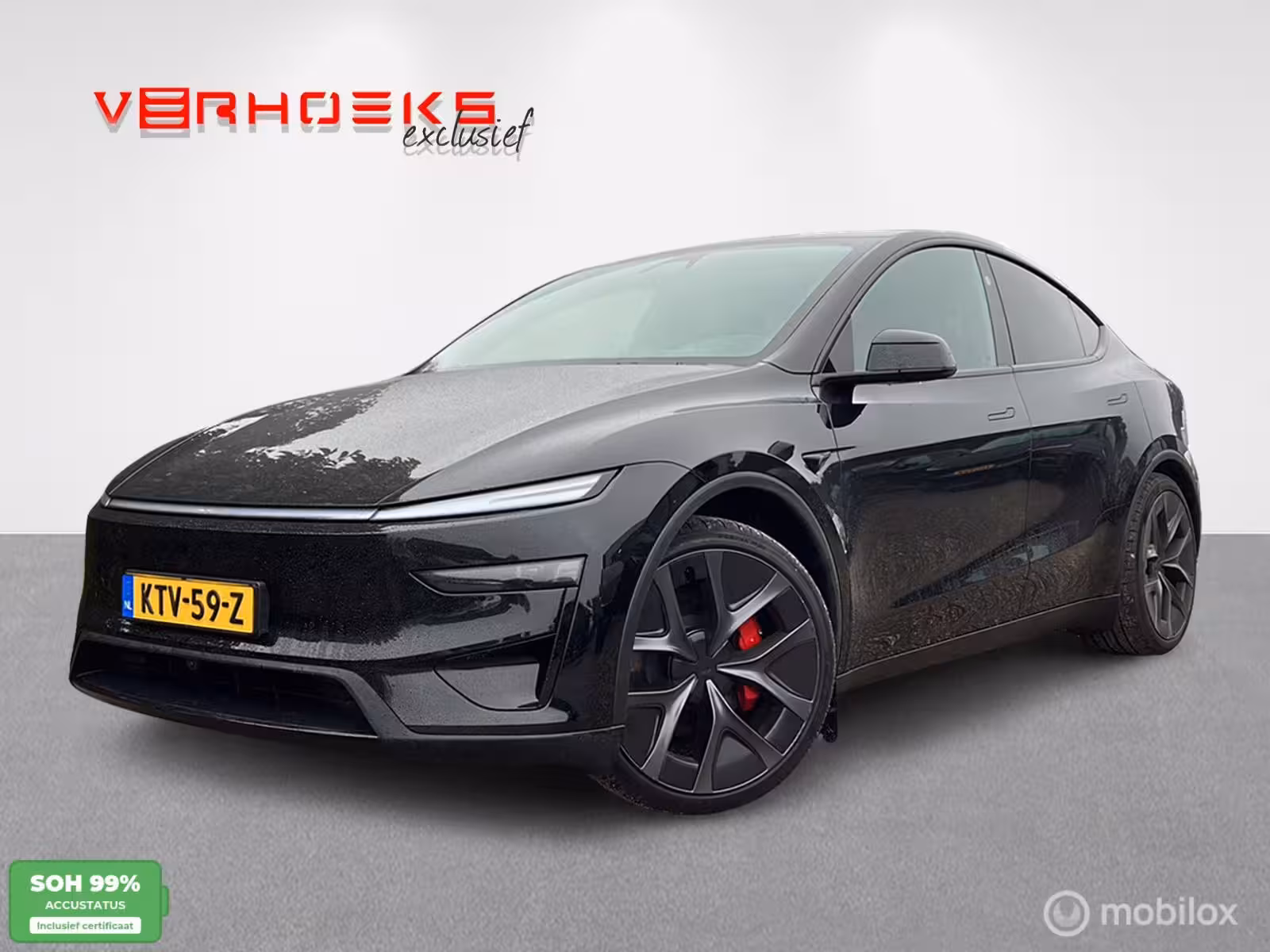 Tesla Model Y Performance AWD 83 kWh / afneembare trekhaak