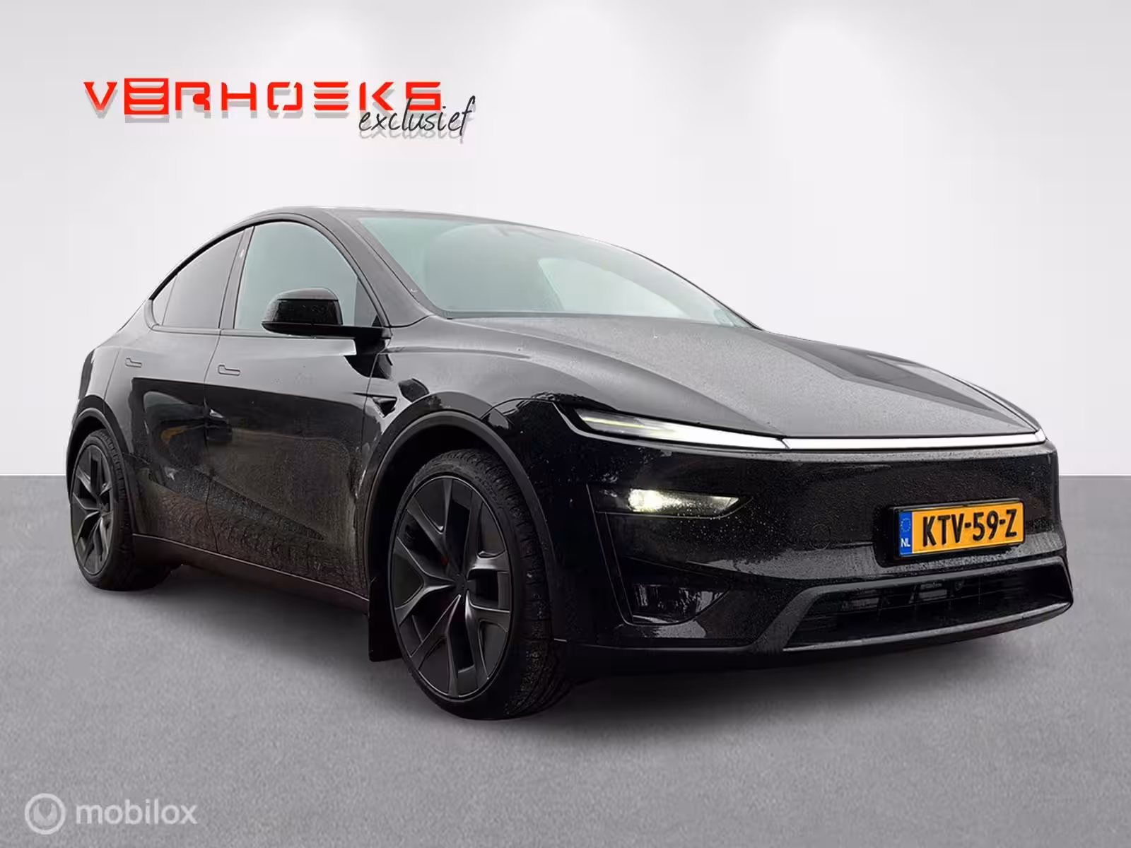Tesla Model Y Performance AWD 83 kWh / afneembare trekhaak