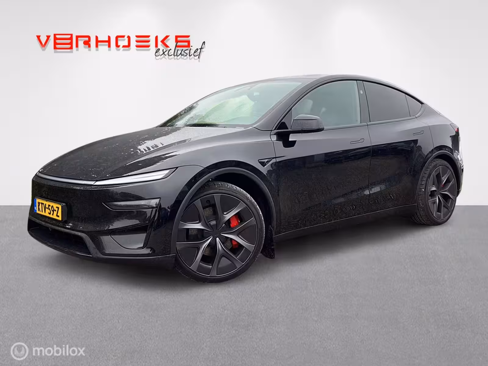 Tesla Model Y Performance AWD 83 kWh / afneembare trekhaak