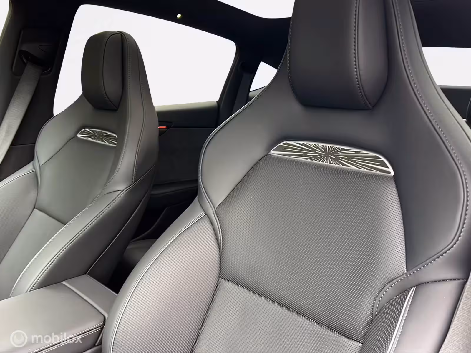 Tesla Model Y Performance AWD 83 kWh / afneembare trekhaak