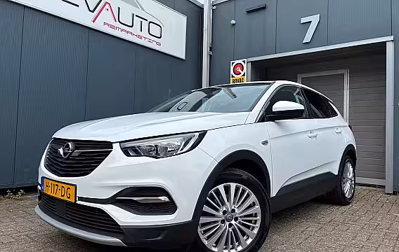 Opel Grandland X 1.2 Turbo Business Executive Trekhaak Dashcam nw Distri riem