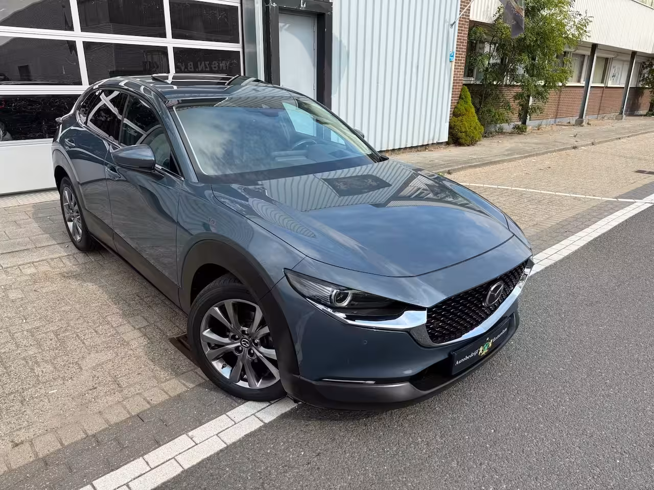 Mazda CX-30 2.0 e-SkyActiv-X M Hybrid Luxury BOSE/LEER/360º