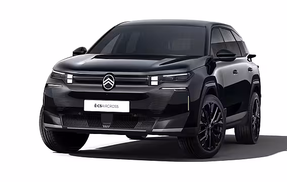 Citroën C5 Aircross Max | Extra getinte achterste zijruiten en achterruit