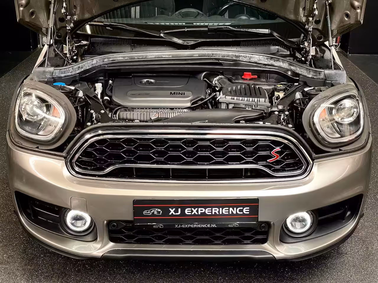 Mini Countryman 2.0 Cooper S Edition PANO NAVI 190 PK AFN TREKHAAK