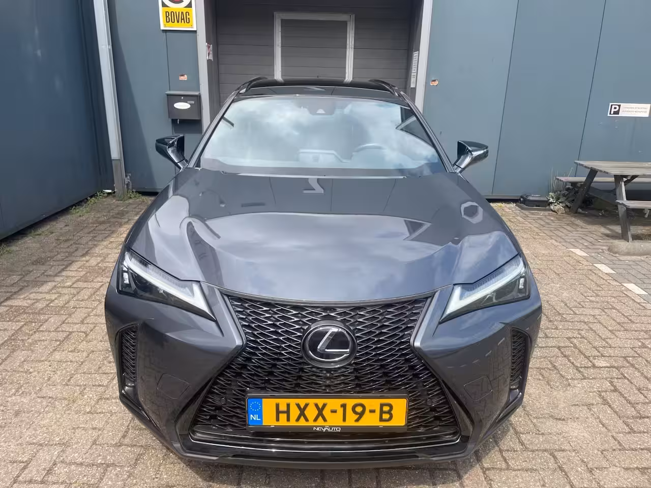 Lexus UX 250h F SPORT Design STOELVERWARMING LEDER