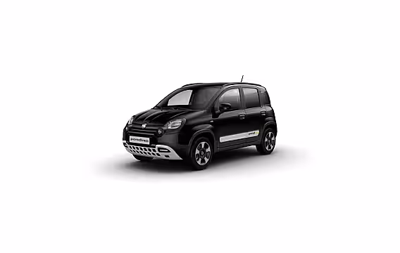 Fiat Pandina Cross | 7" touchscreen radio met Bluetooth, DAB, USB & Apple Carplay & Android AutoTM | Ai