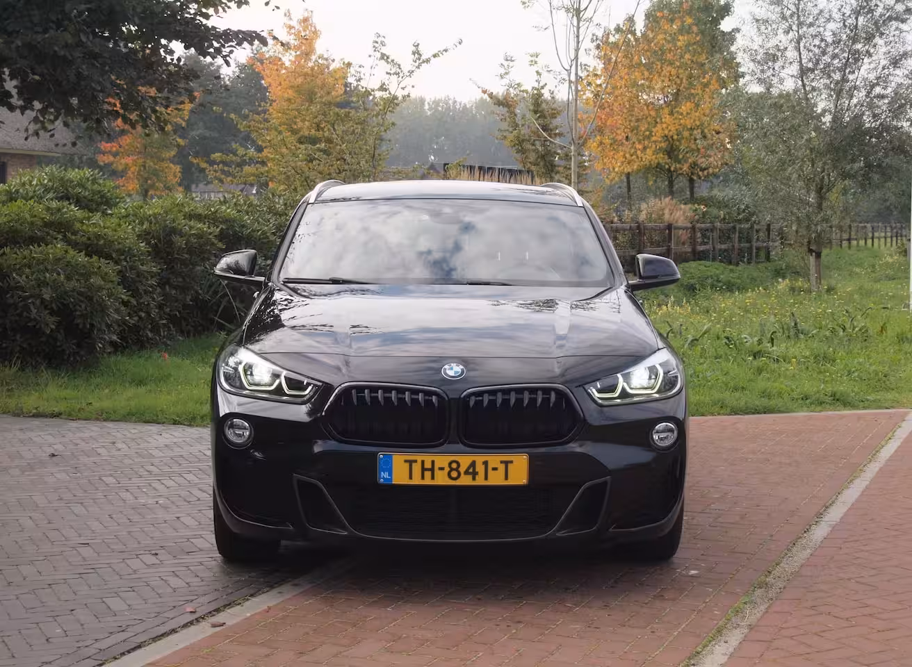 BMW X2 sDrive18i High Executive | M-pakket | Camera | Head-Up Display | Navi | Afneembare Trekhaa
