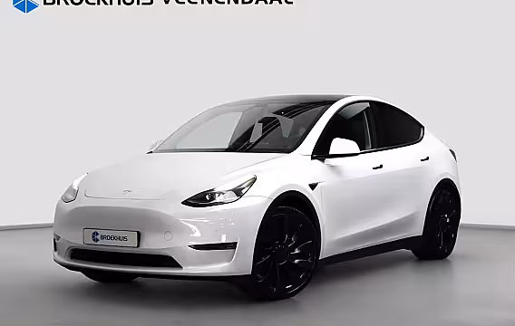 Tesla Model Y Long Range Dual AWD Performance | Pano | Adap. Cruise | Camera | Leder