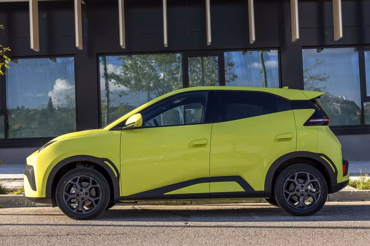 BYD Dolphin Surf