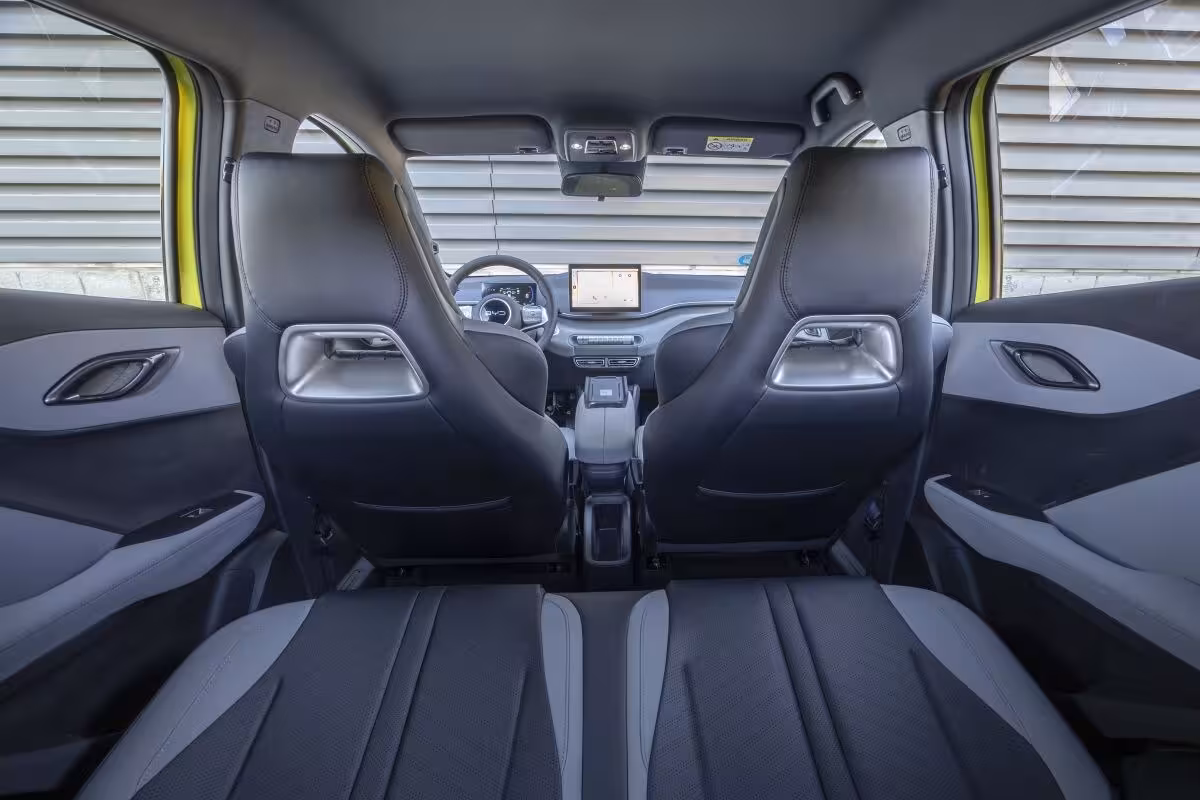 BYD Dolphin Surf